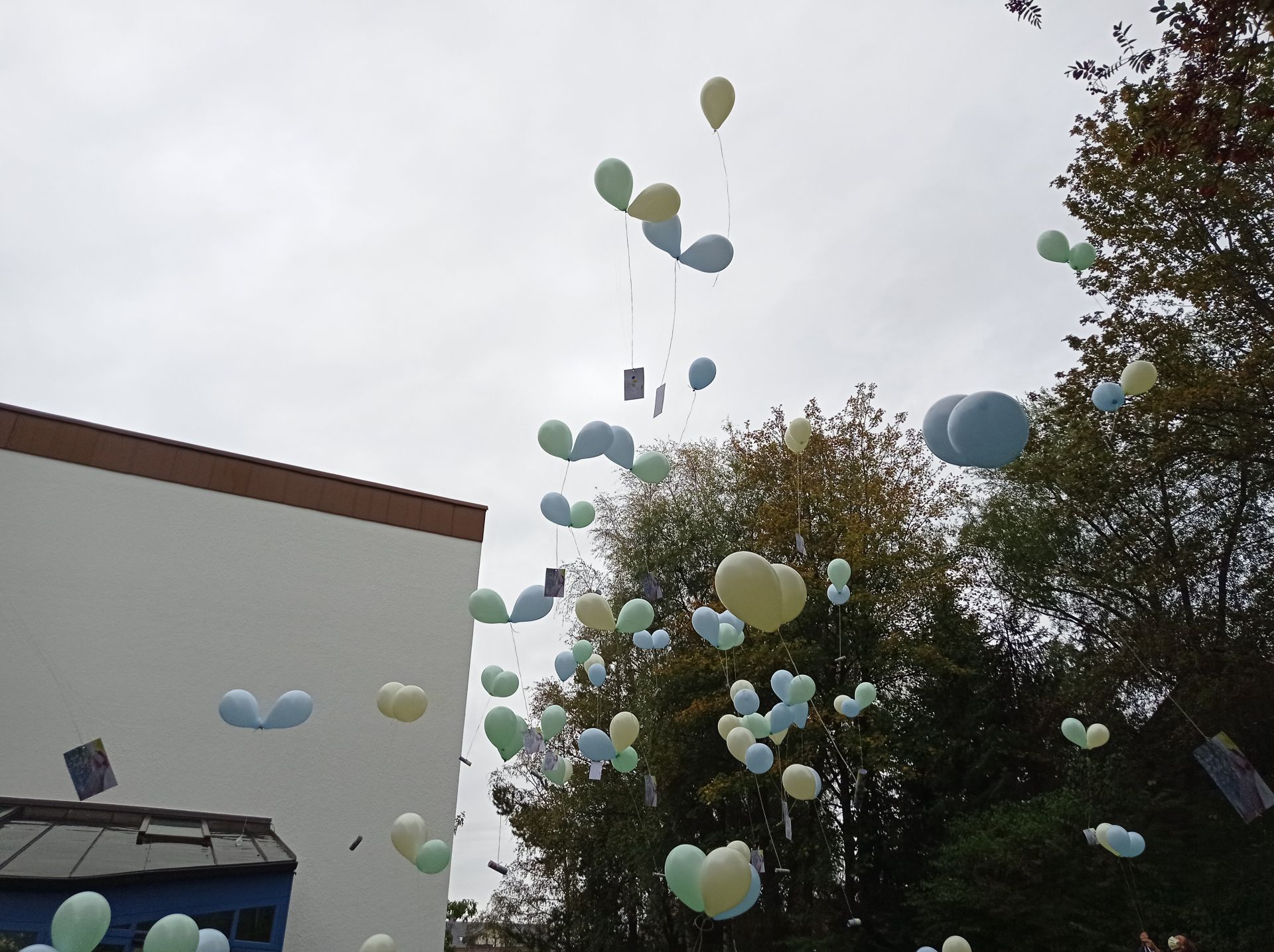 Wunsch Luftballons